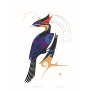 aleutartistthomasstream