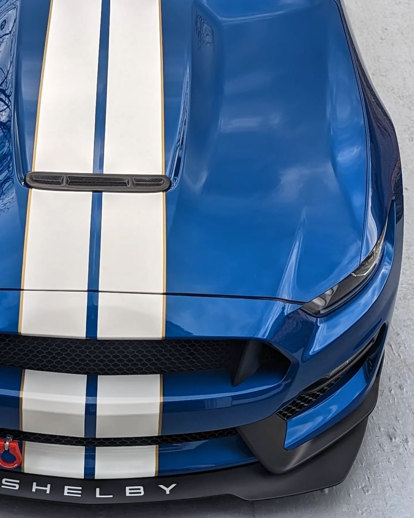 Blue Shelby Mustang with white racing stripes, viewed from the front.