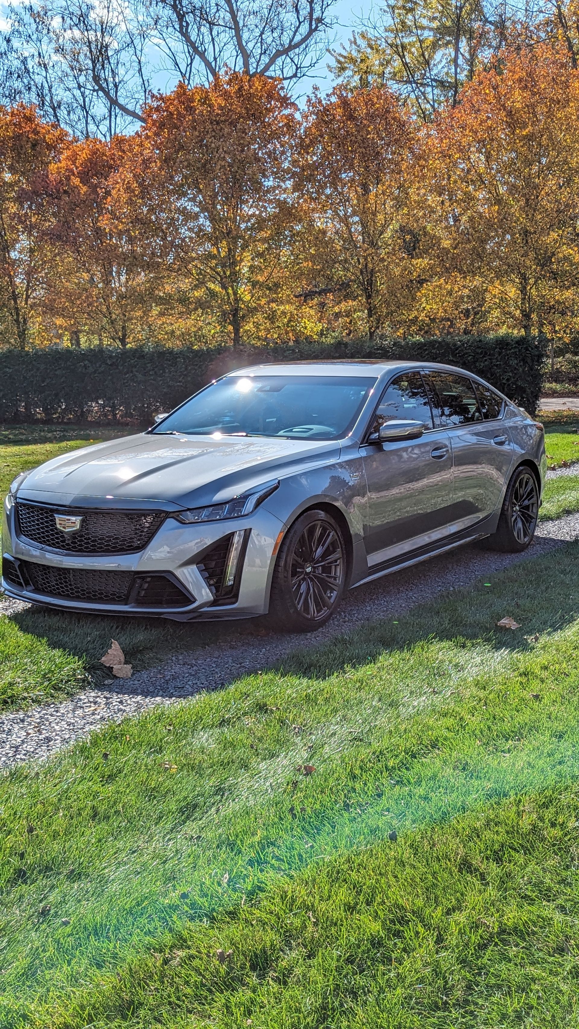 Silver sports sedan parked on grass beside a road with autumn trees in the background