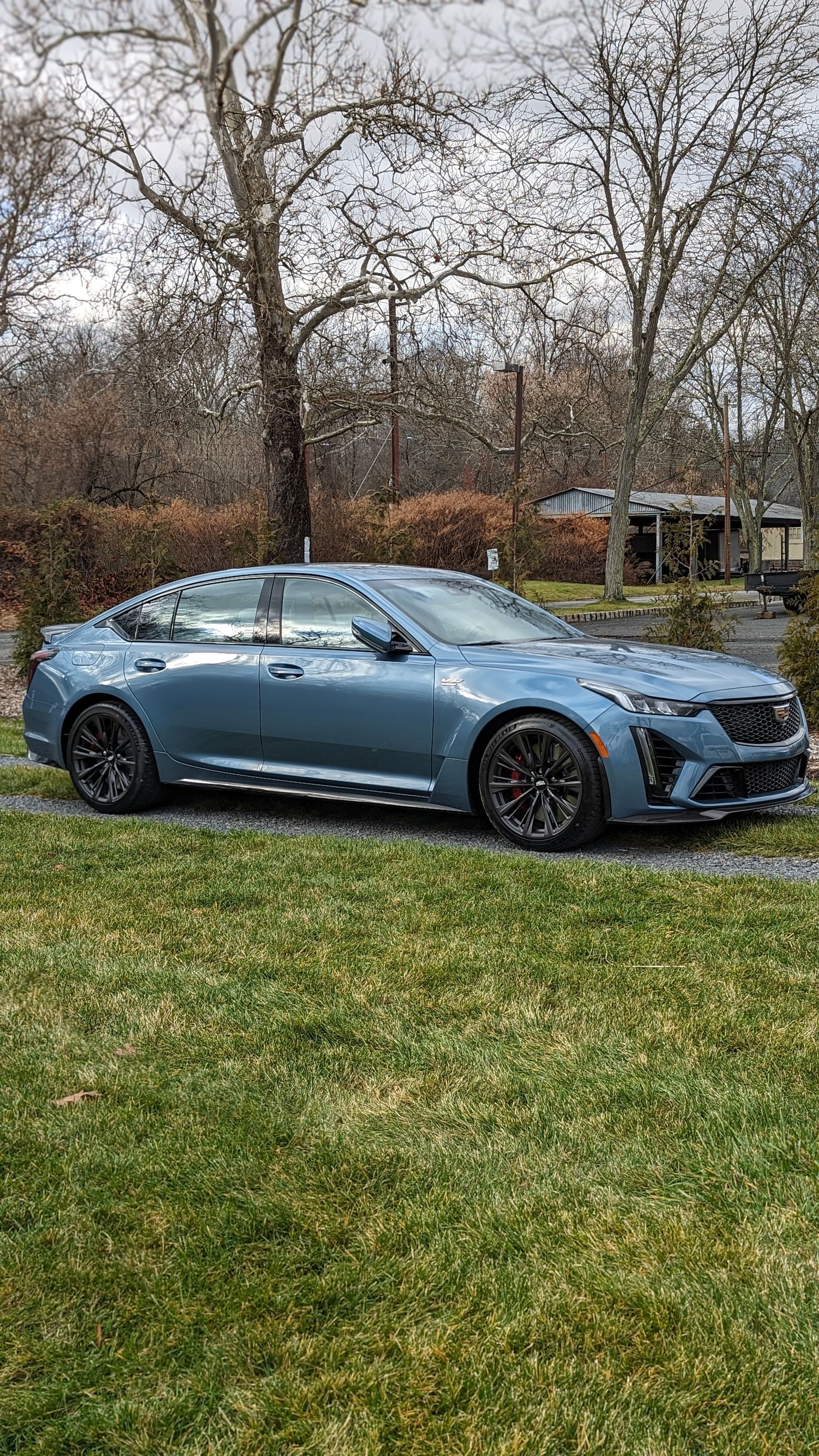 Gray coupe parked on grass beside leafless trees and a small shed