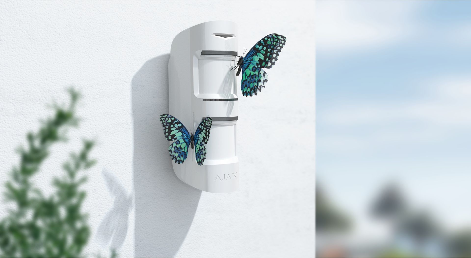 White Sensor on Wall With Two Blue Butterflies — Cussler NQ in Hamilton Island, QLD