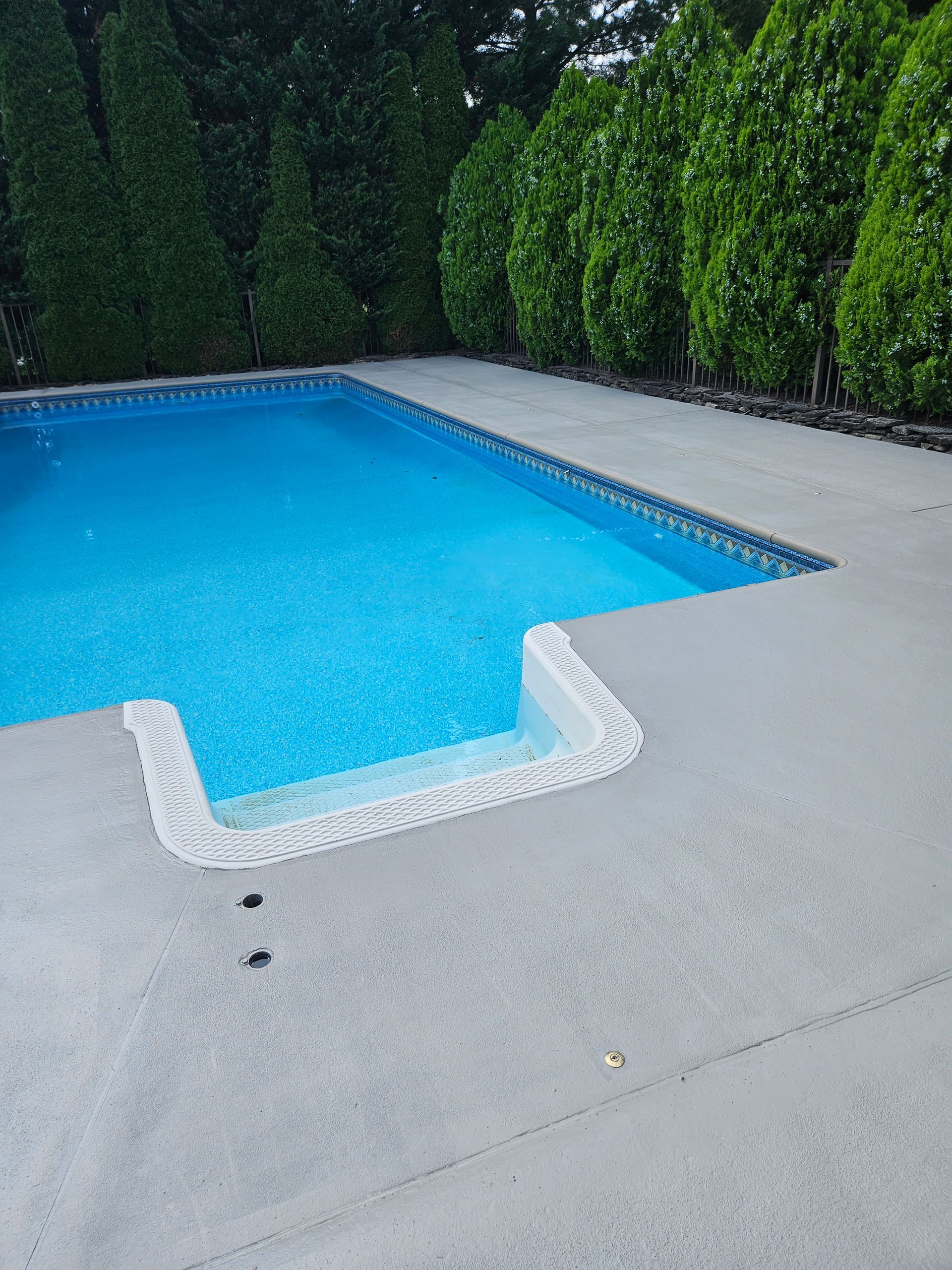 A rectangular blue swimming pool with white steps, surrounded by light gray concrete decking and tall green hedges.
