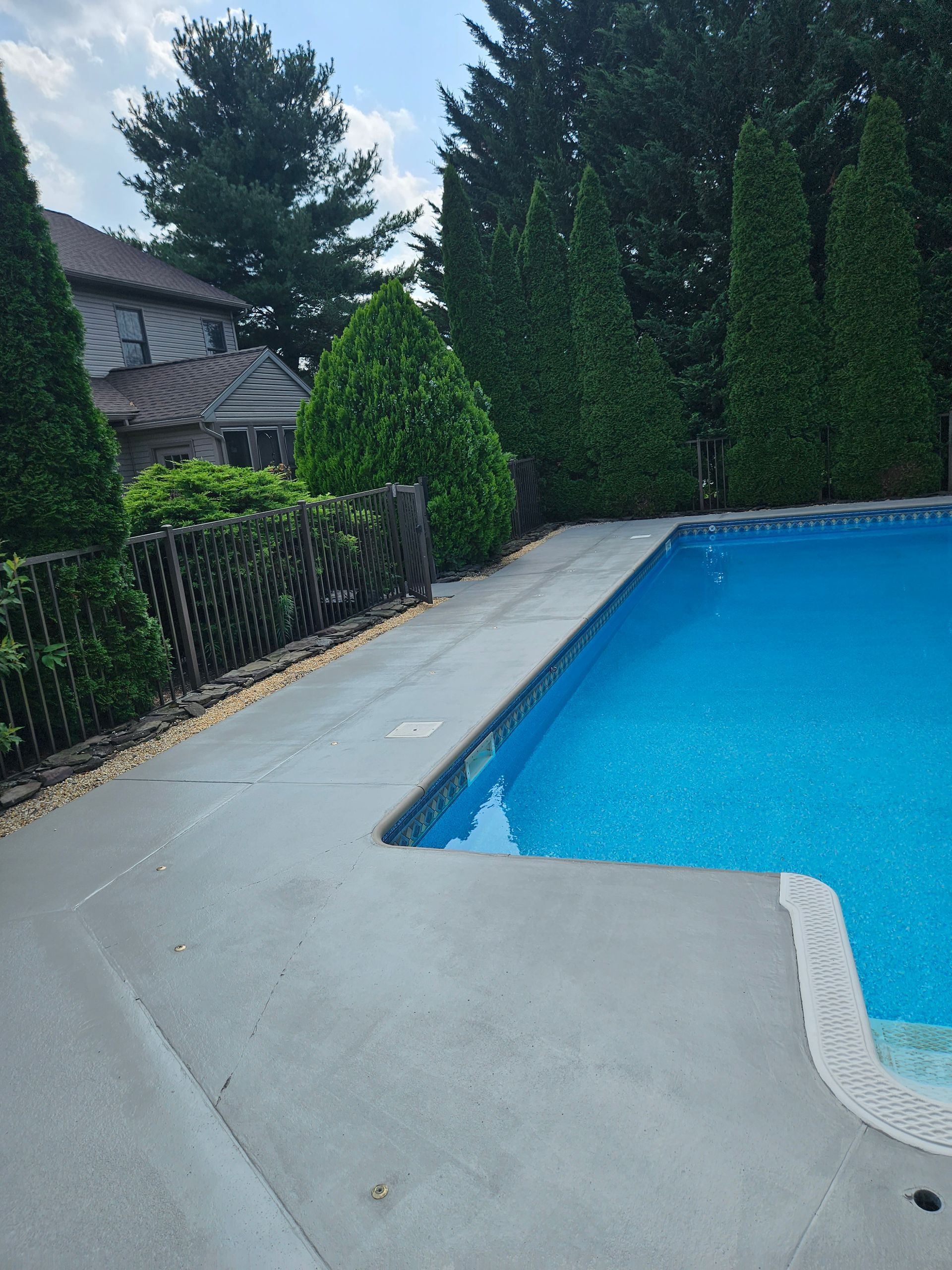 A bright blue swimming pool with a concrete deck, bordered by tall green evergreen trees and a dark metal fence.