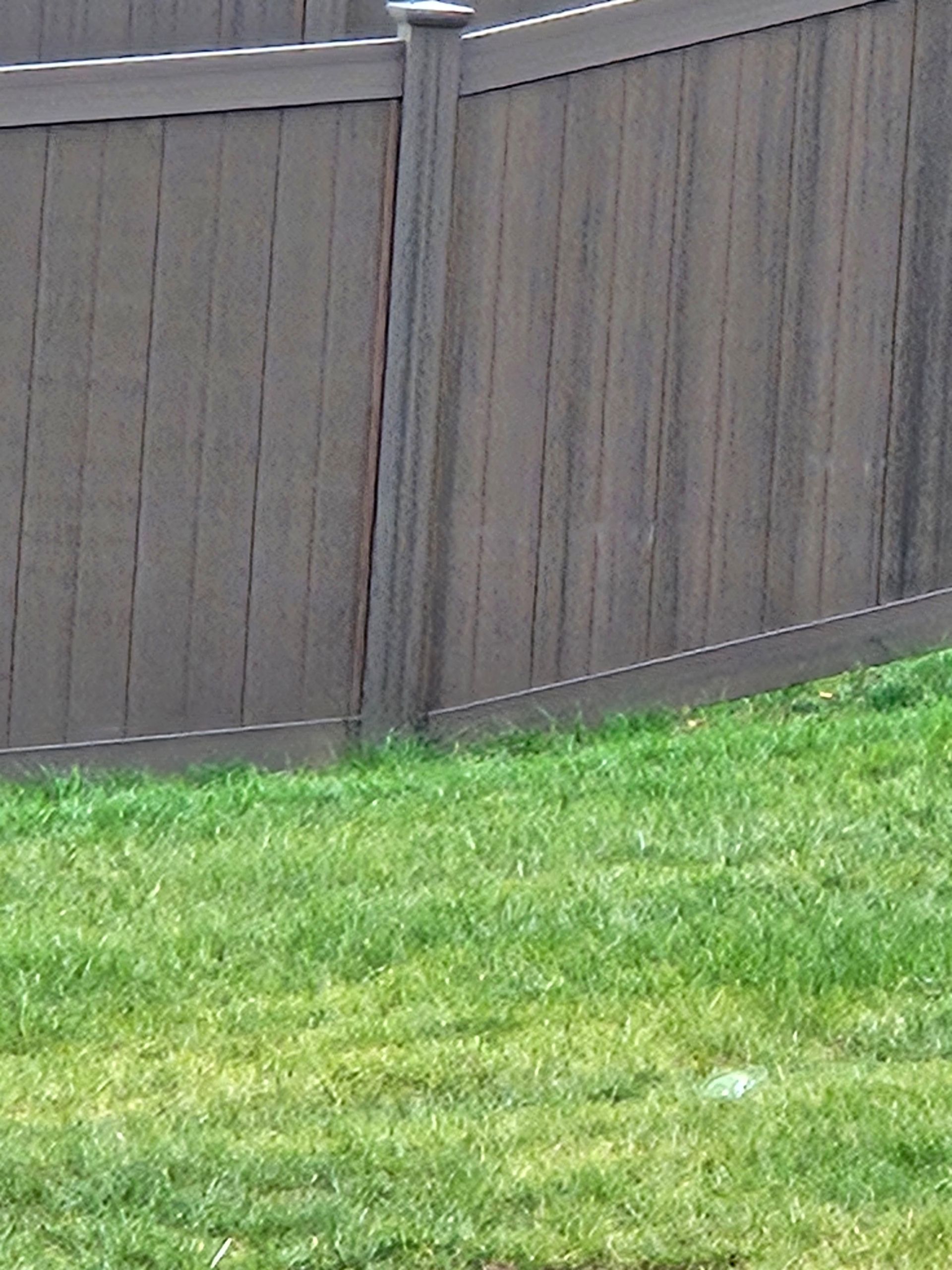A dark brown, vertical-slatted privacy fence stands above a green grass lawn.
