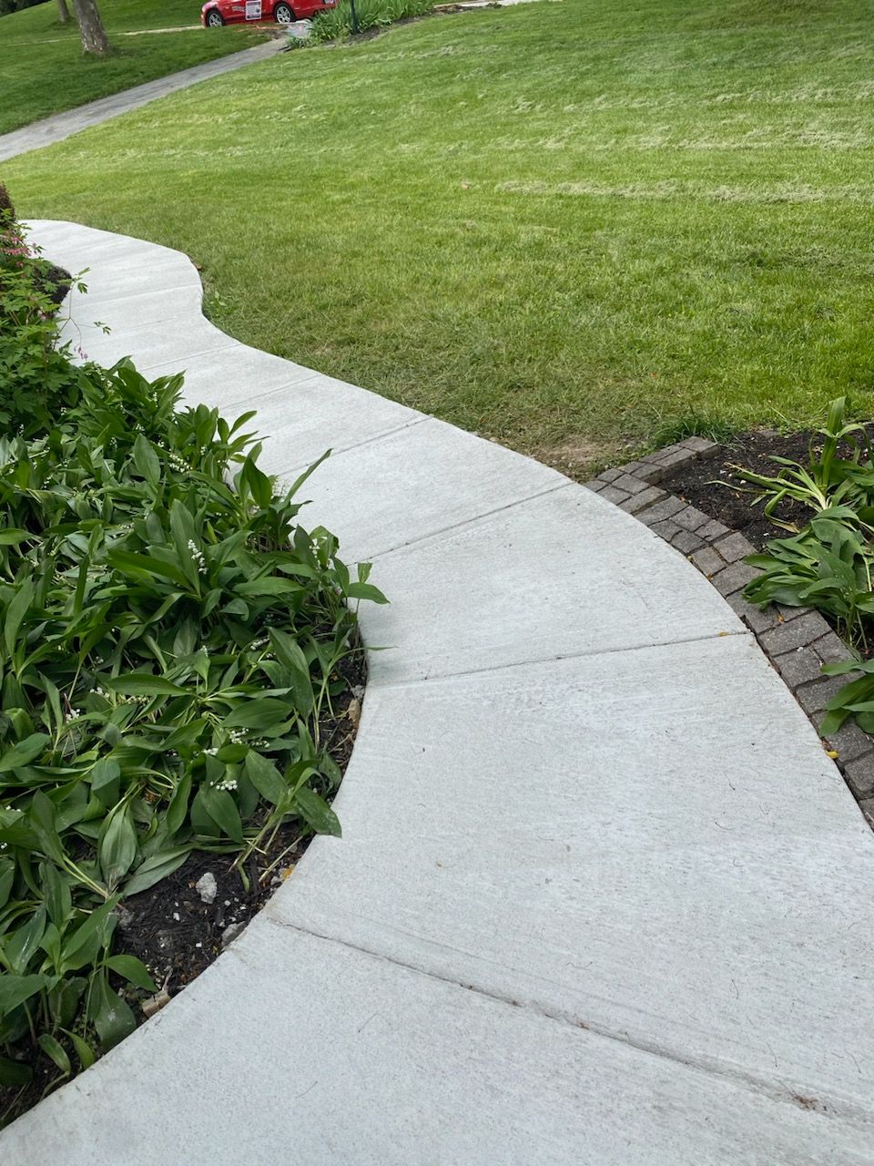 A curved concrete walkway lined with green plants and dark stone pavers cuts through a grassy lawn.