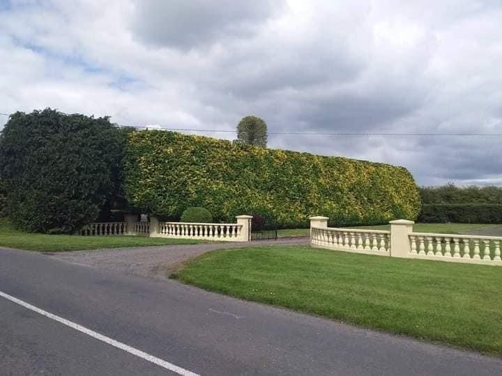 Roadside view of a large hedge-covered house behind a white fence under cloudy skies