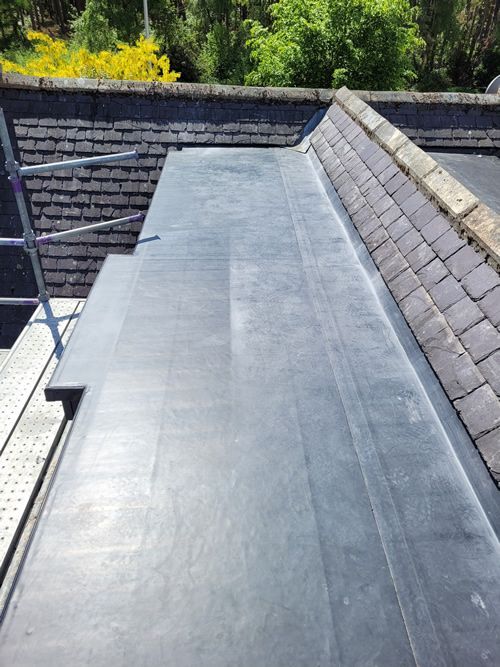 Flat black rooftop walkway bordered by stone walls and green plants in bright sunlight