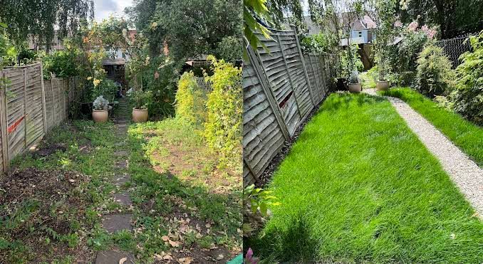 Backyard before-and-after: overgrown path on left, neatly mowed green lawn on right.