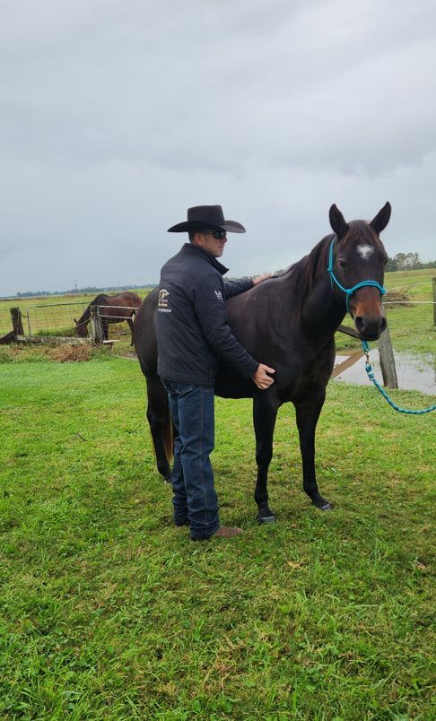 A Man In A Cowboy Hat Is Standing Next To A Horse In A Grassy Field — Jono Battle Equine Services In Walkamin, QLD