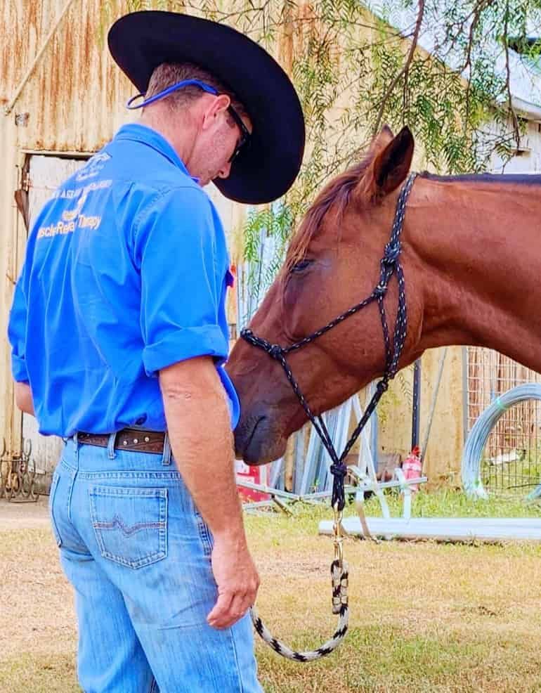 A Man In A Blue Shirt And Cowboy Hat Is Standing Next To A Brown Horse — Jono Battle Equine Services In Tablelands, QLD