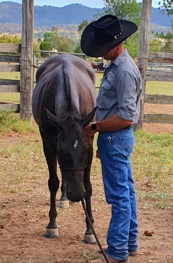 A Man In A Cowboy Hat Is Standing Next To A Horse — Jono Battle Equine Services In Toowoomba, QLD