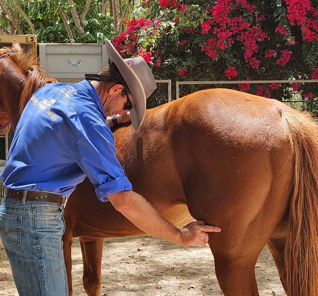 A Man In A Cowboy Hat Is Giving A Man A Massage — Jono Battle Equine Services In Charters Towers, QLD