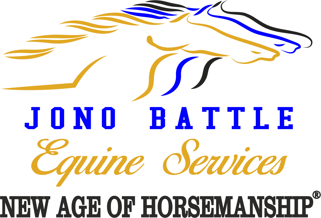 Equine Care In The Tablelands