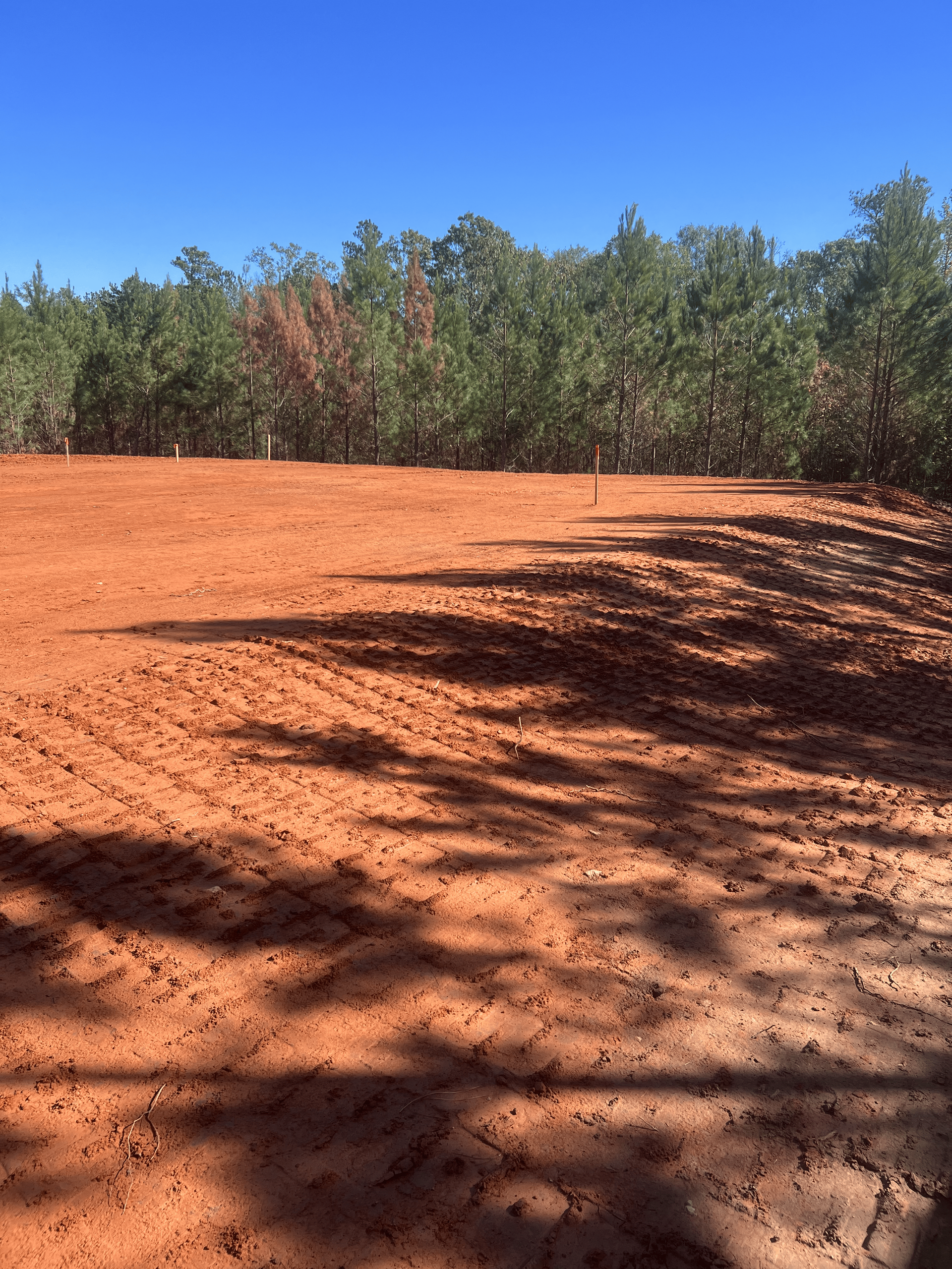 A dirt field with trees in the background and a blue sky