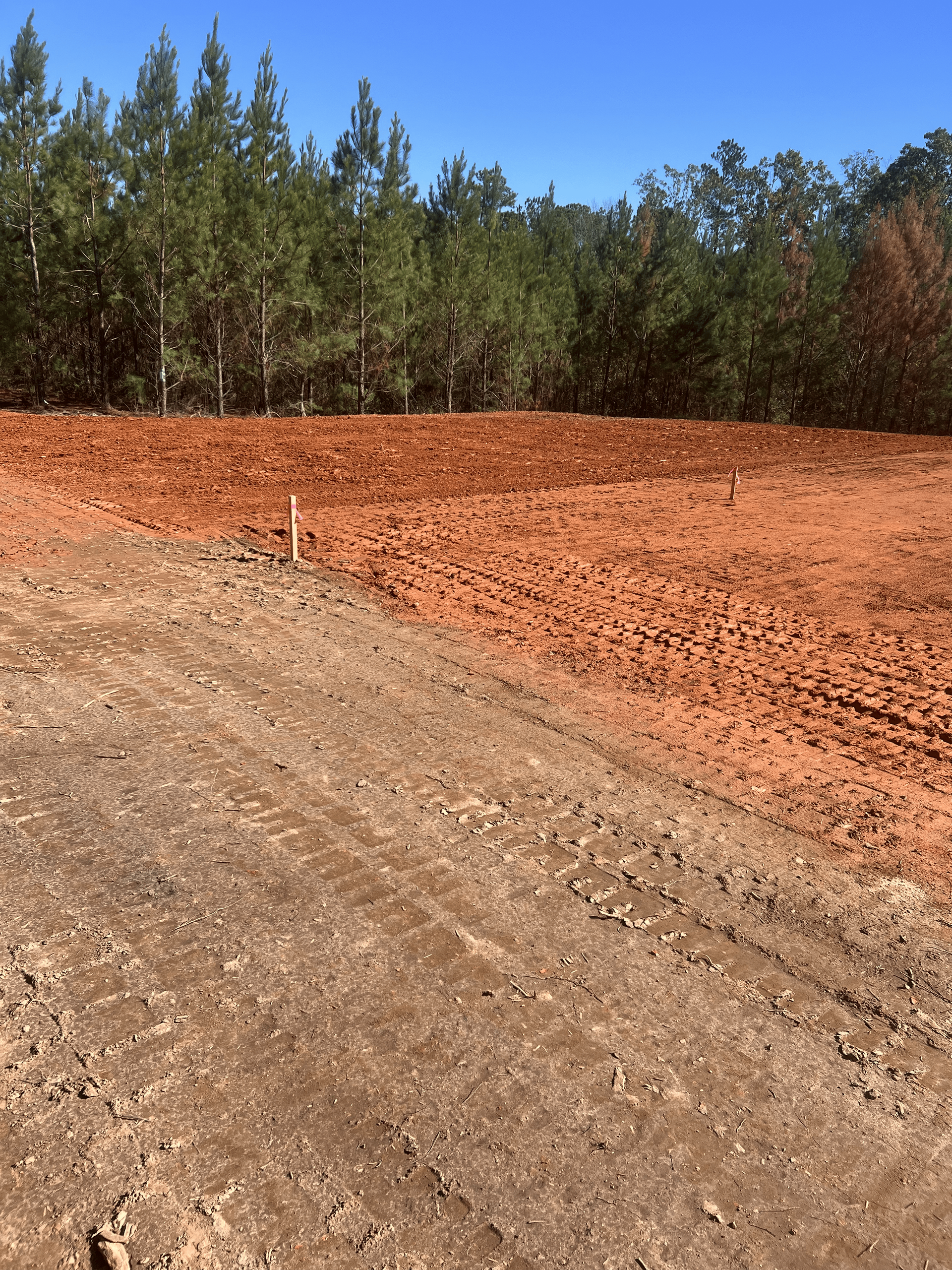 A dirt road going through a field with trees in the background.