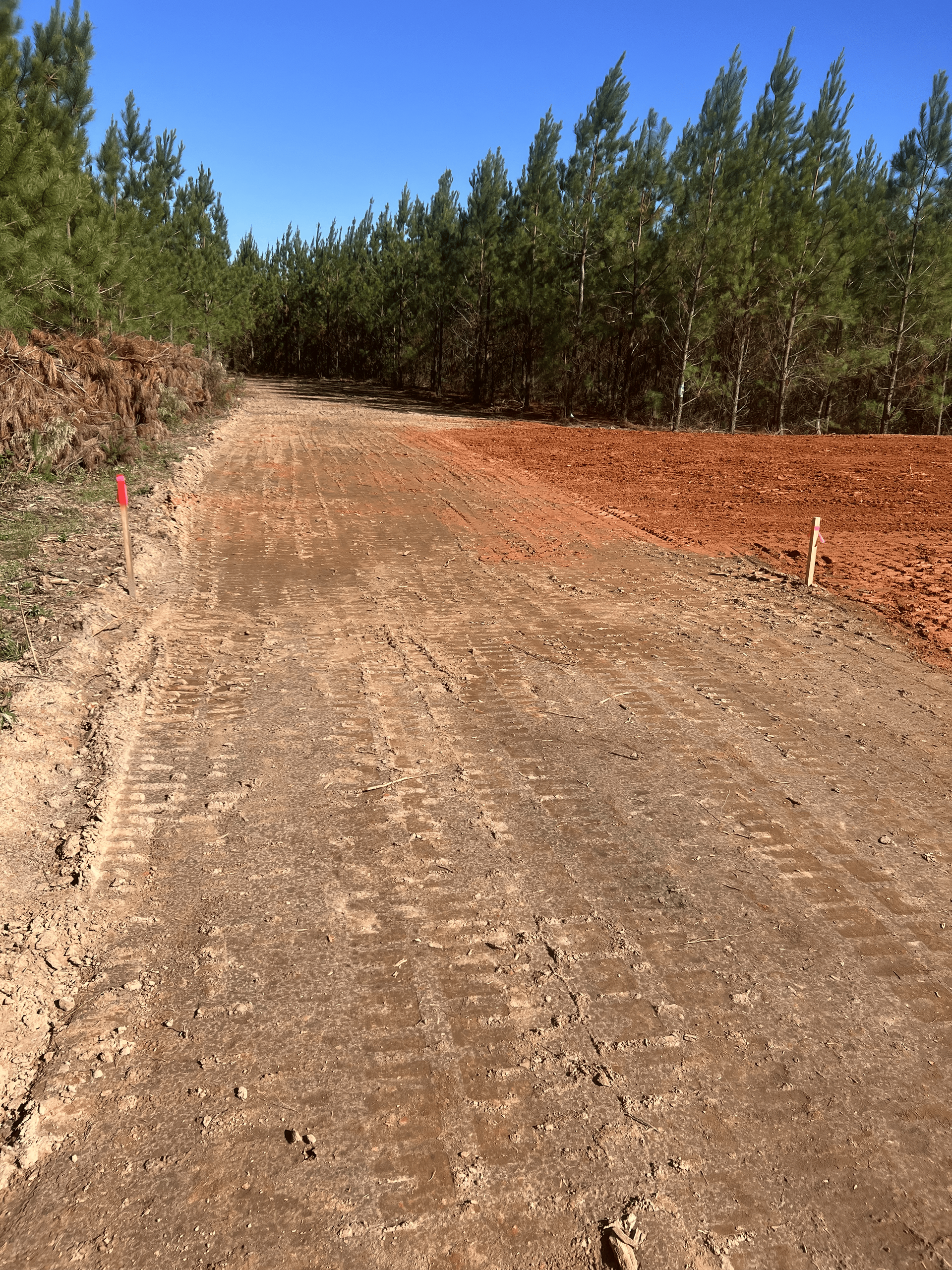 A dirt road going through a forest with trees on both sides.