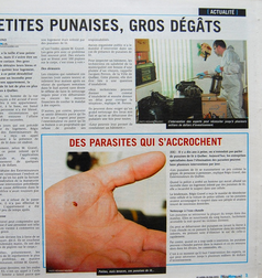 Exterminateurs du Québec inc. (EXTQ) photo 8