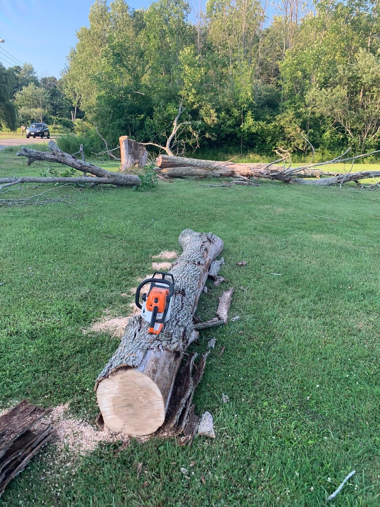 A chainsaw is sitting on top of a large log in a grassy field.