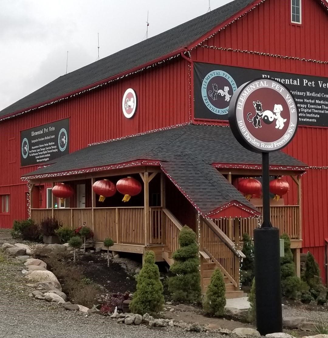 Elemental Pet Vets Center — Freeville, NY — Elemental Pet Vets
