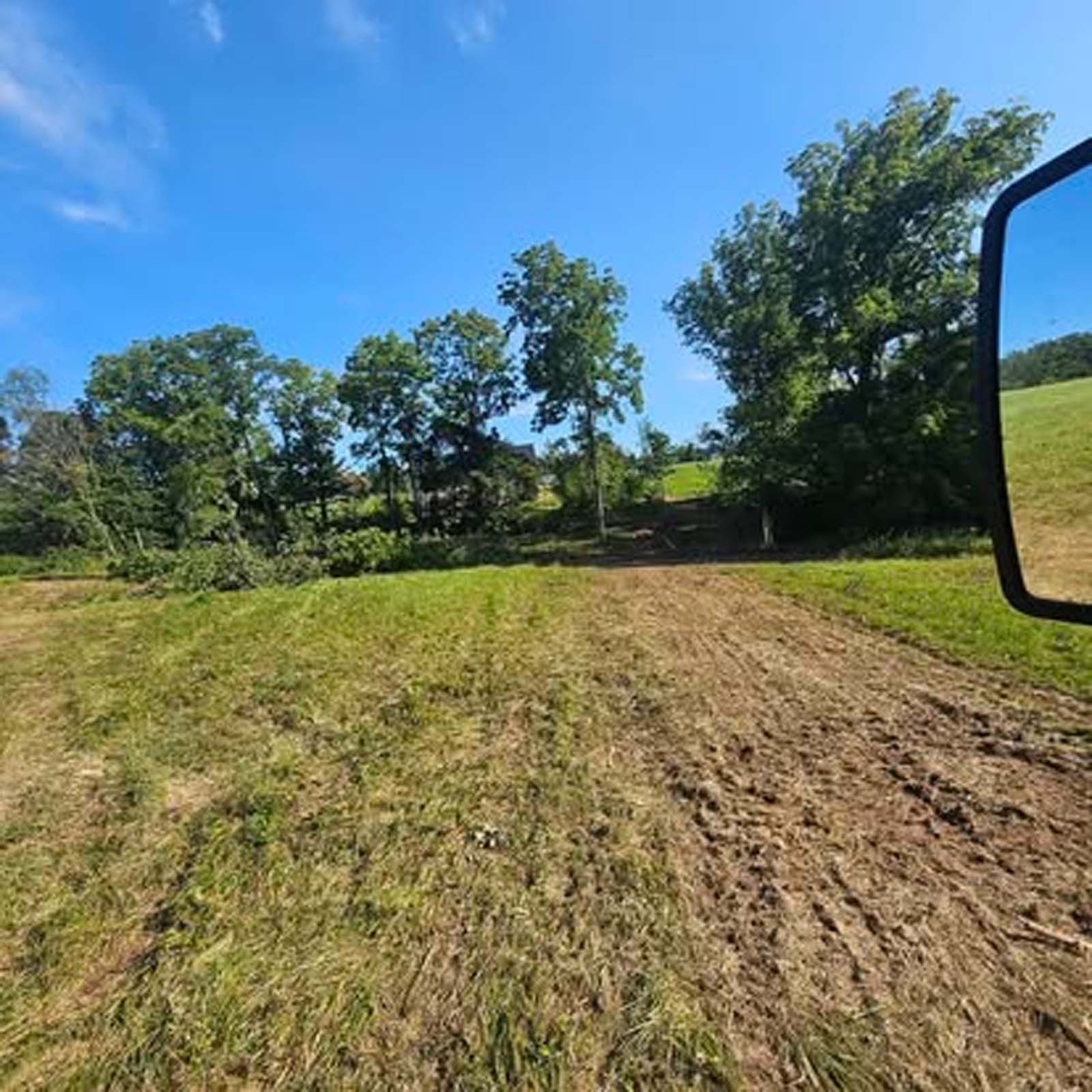 A dirt road going through a grassy field with trees in the background.