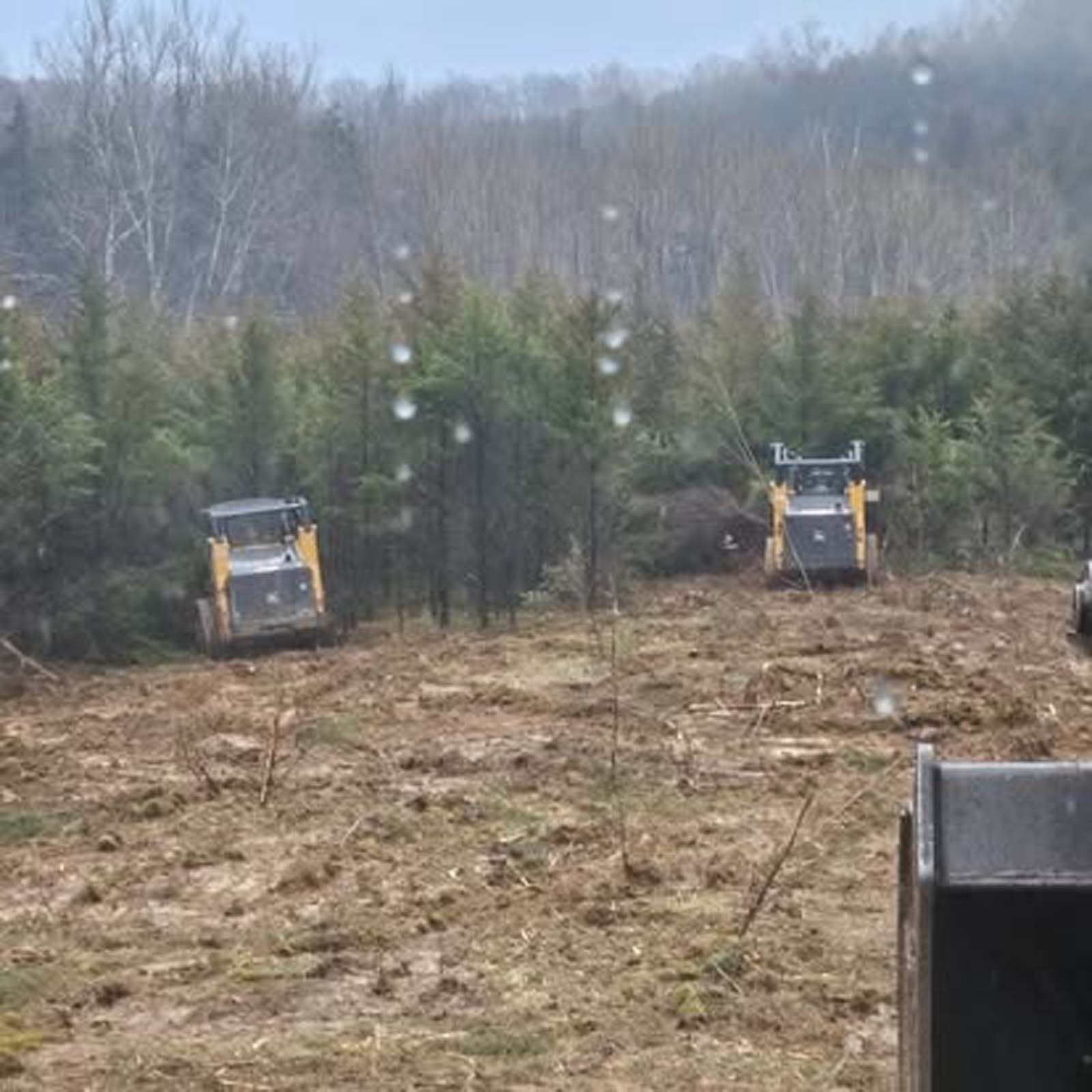 Two bulldozers are cutting down trees in a field.