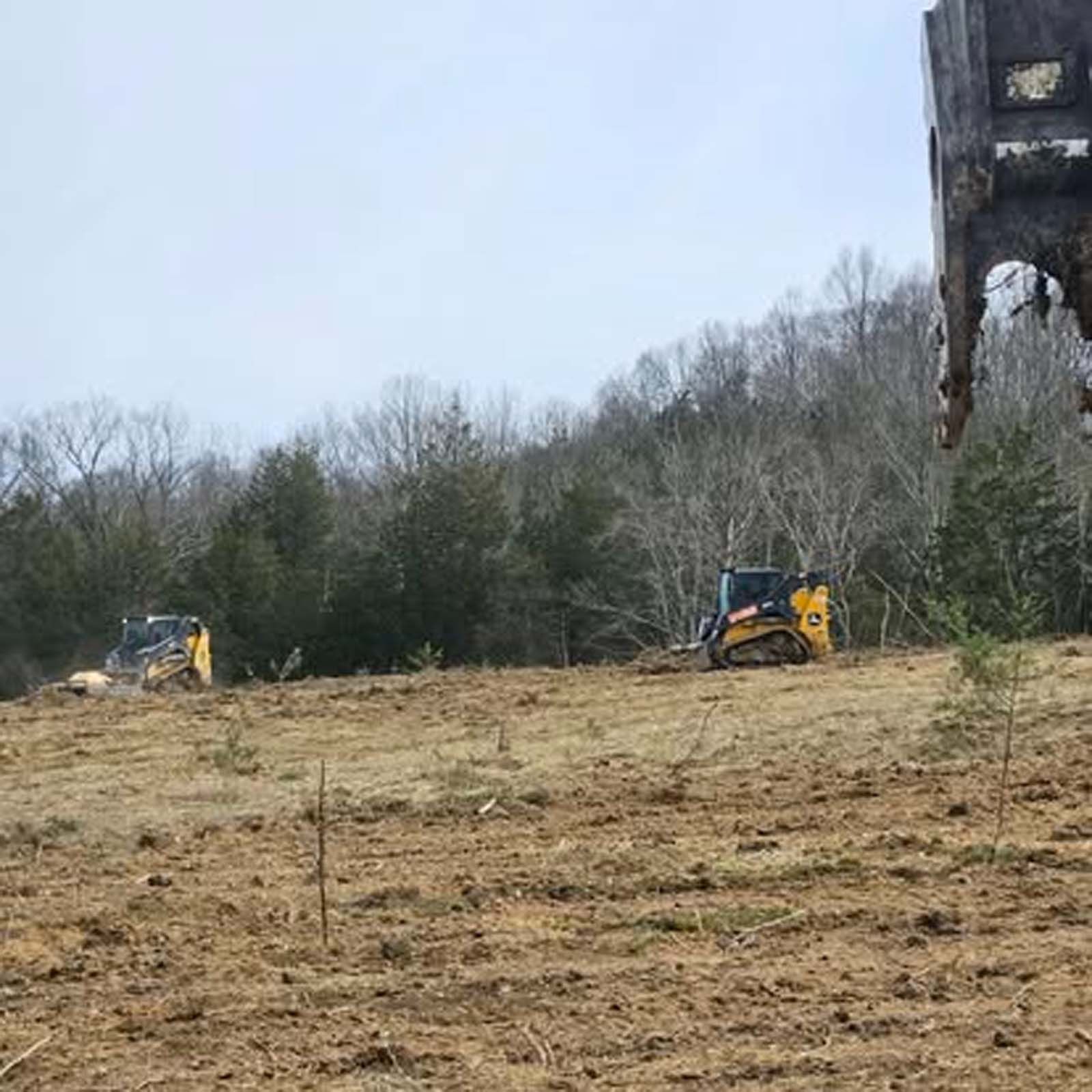A bulldozer is cutting down trees in a field.