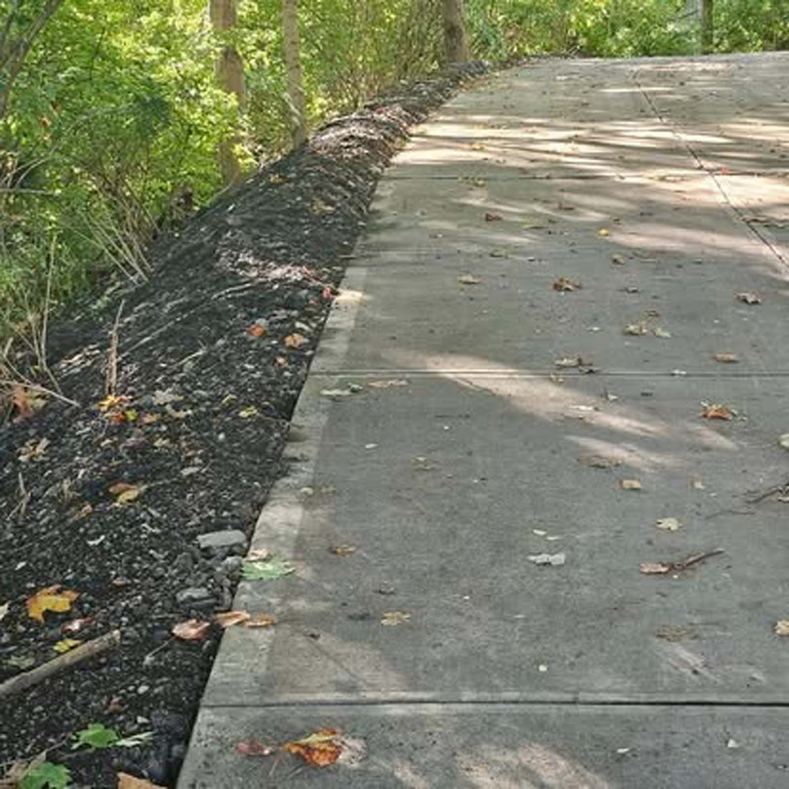 A concrete walkway with leaves on the ground and trees in the background.