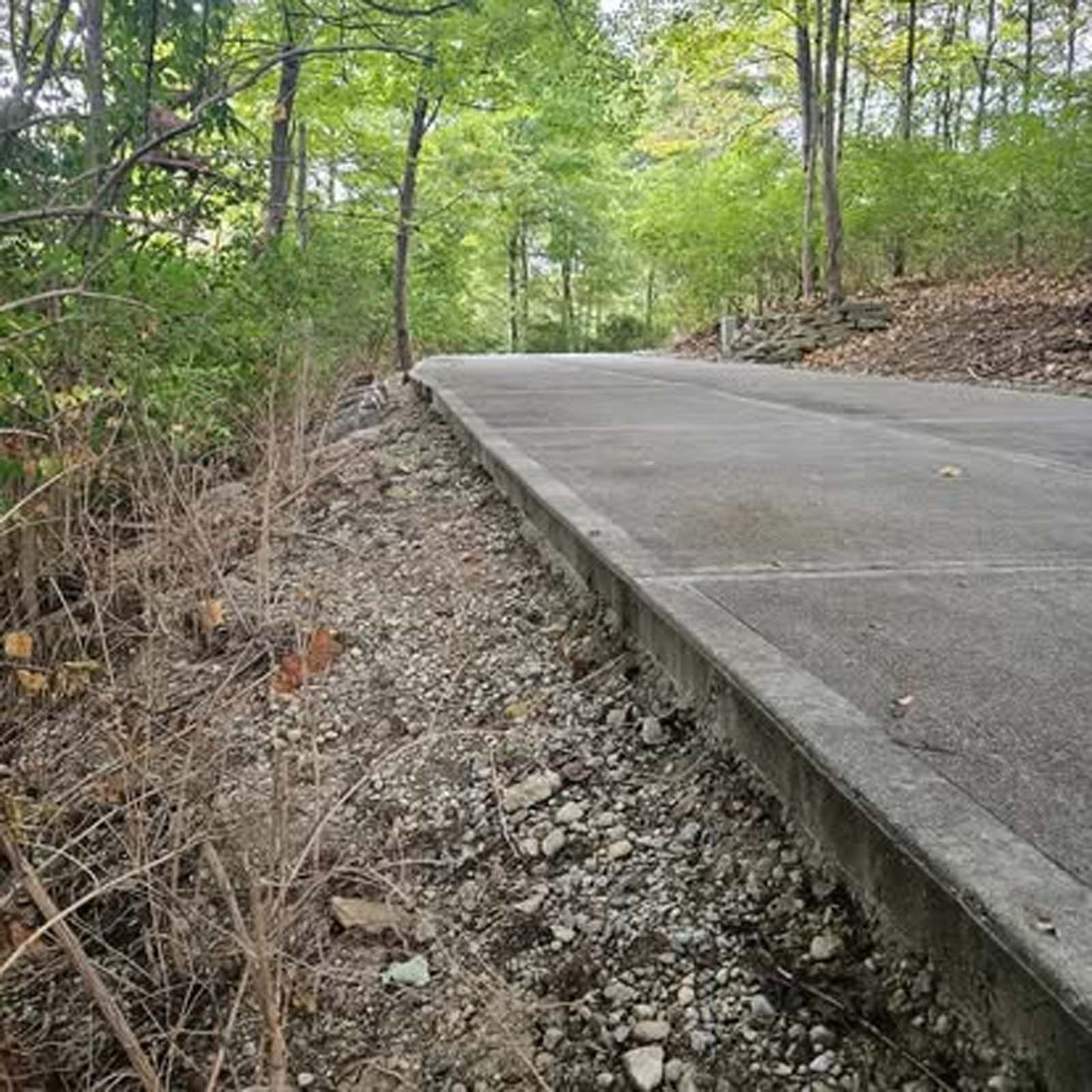 A concrete road going through a forest with trees on both sides.