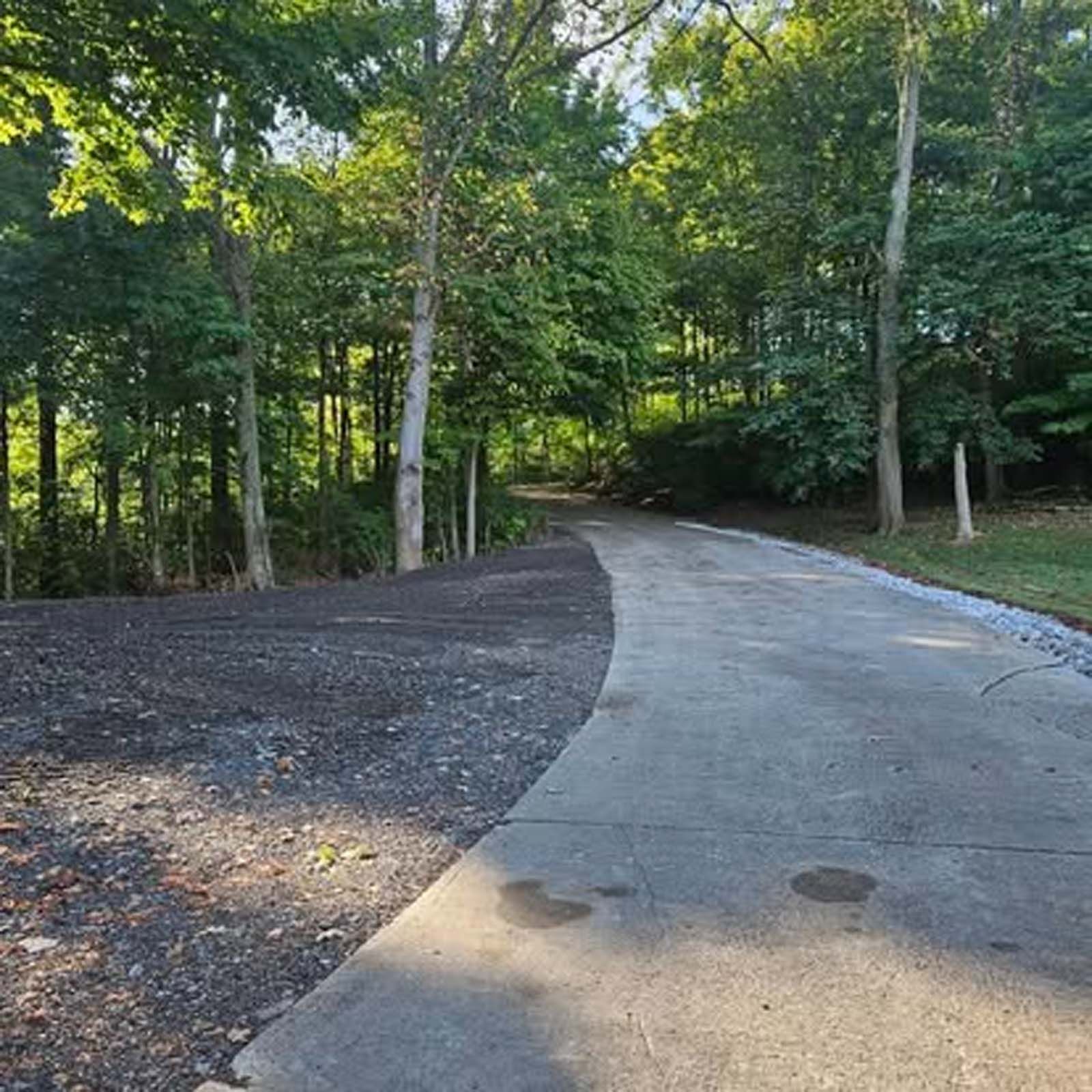A concrete driveway going through a forest with trees on both sides.