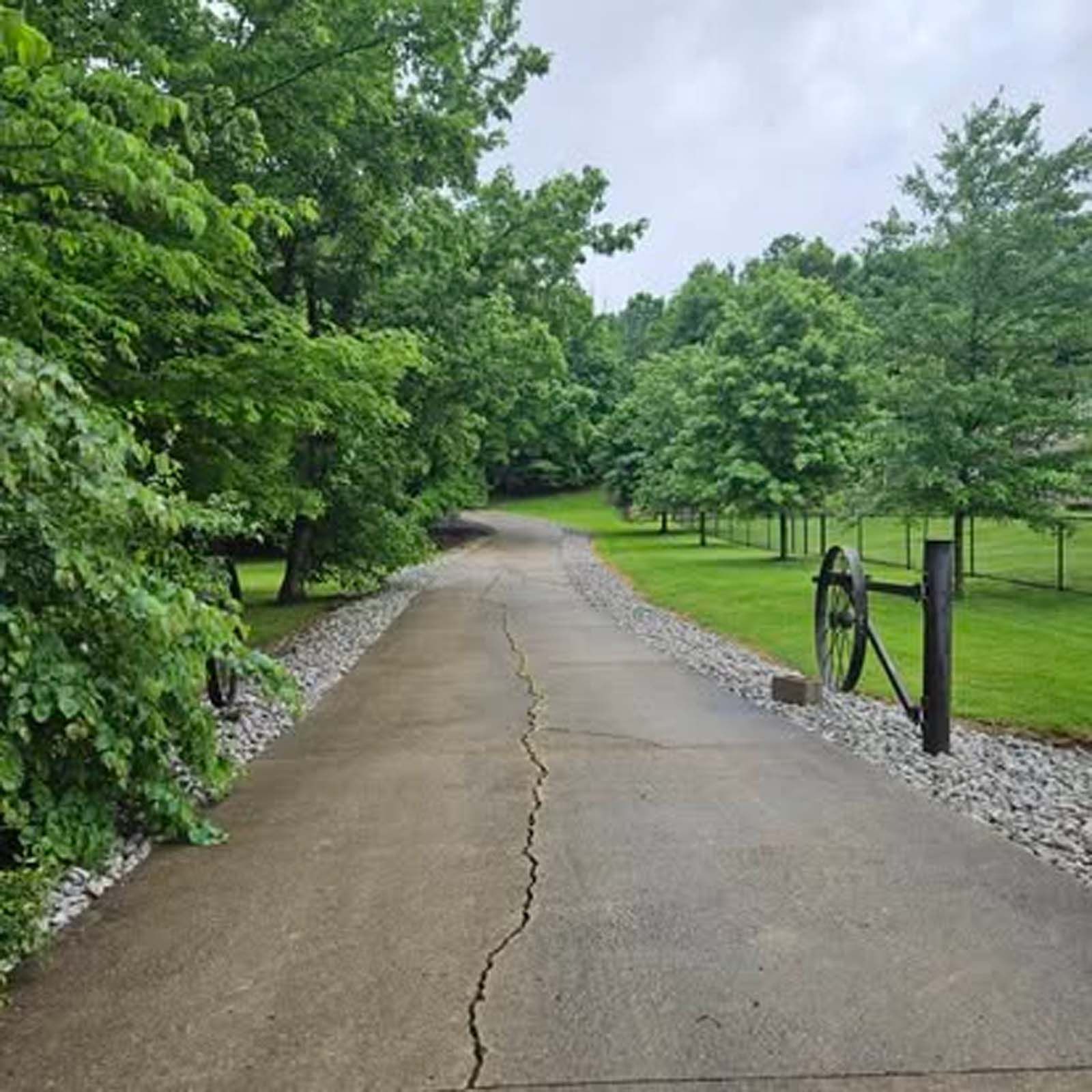 A concrete driveway leading to a grassy field with trees on both sides.