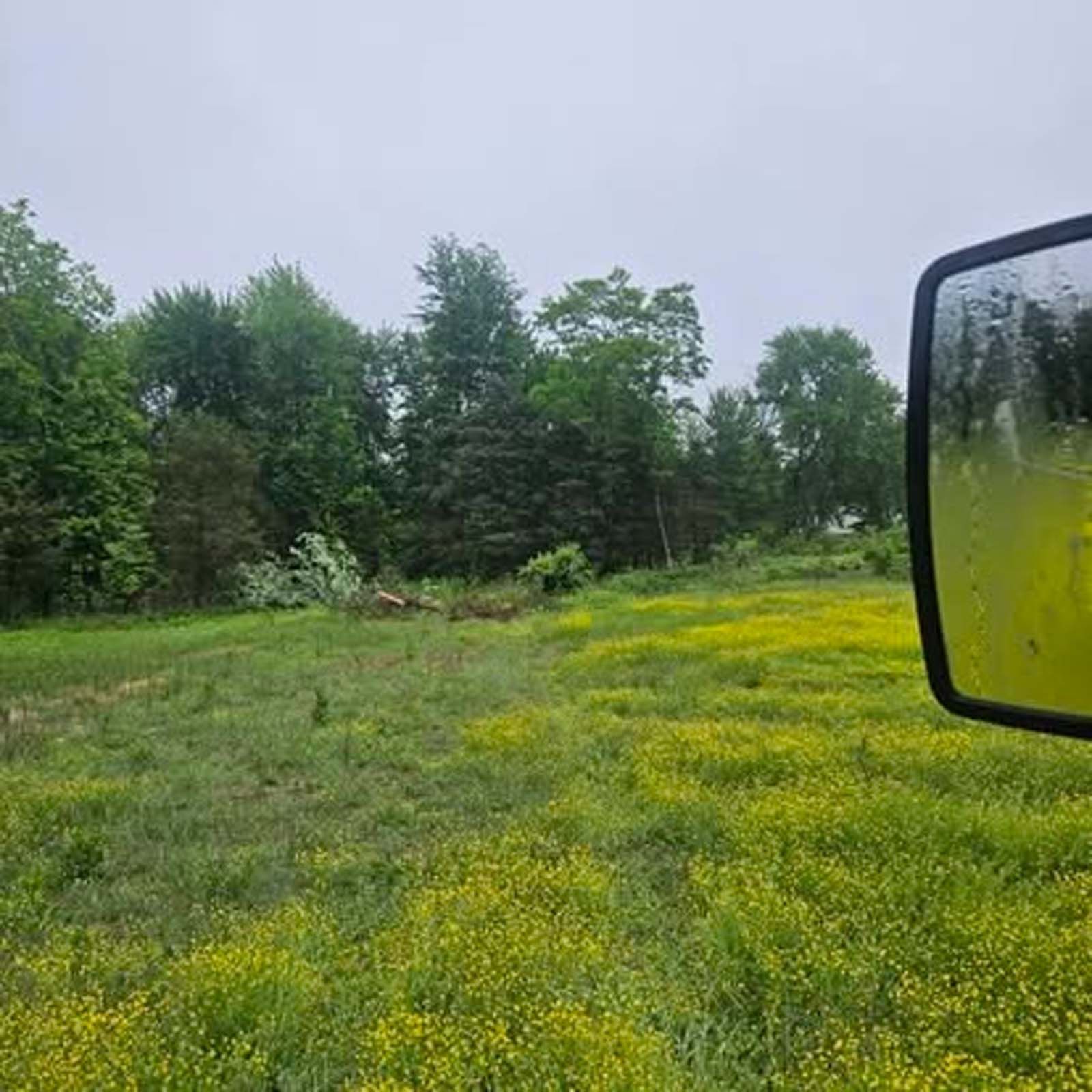 A rear view mirror shows a field of yellow flowers with trees in the background.