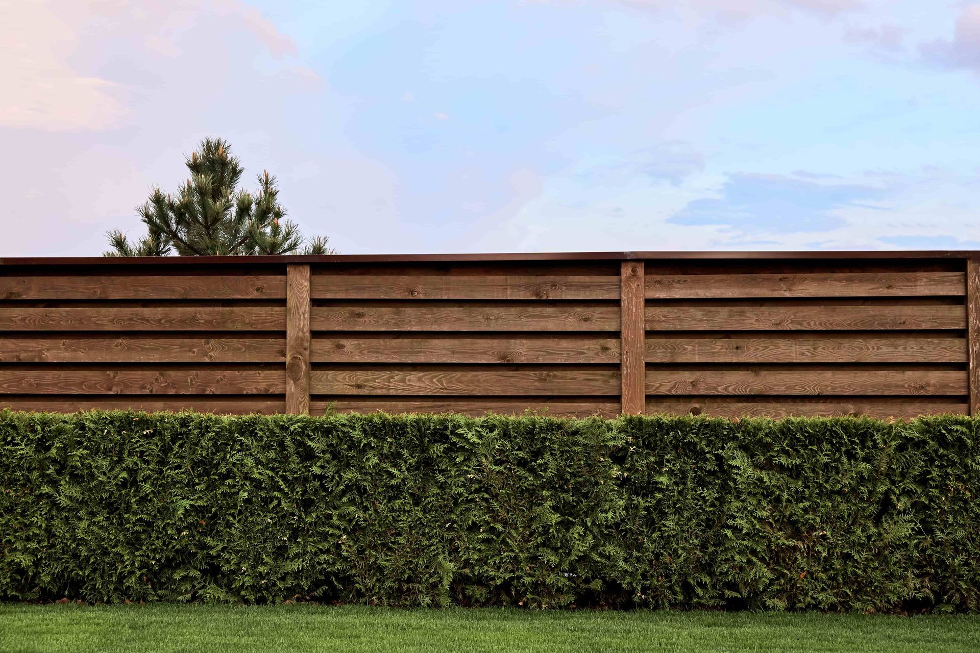 A wooden fence with a hedge in front of it.
