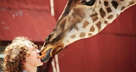 A young boy is feeding a giraffe a carrot.