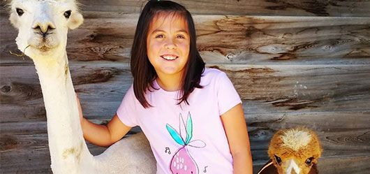 A little girl is standing next to two llamas.