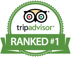 A tripadvisor badge that says ranked # 1 on a white background.