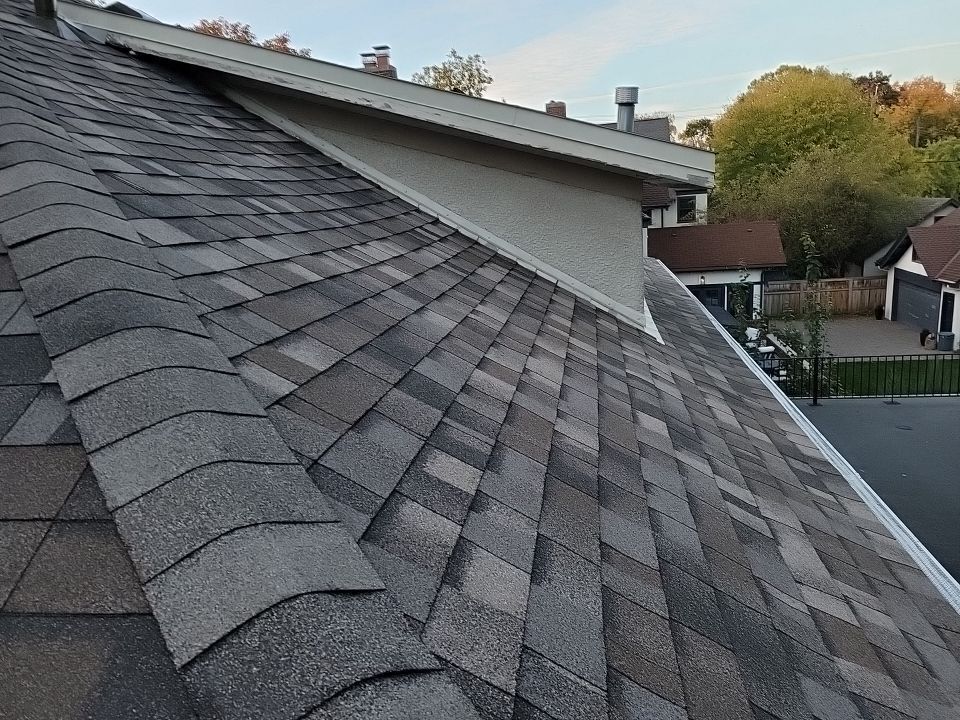 a roof with a chimney on it and a tree in the background .
