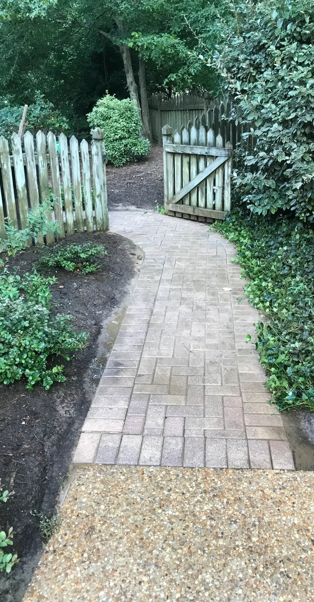 Brick path through a garden, leading to a wooden gate and a fence.