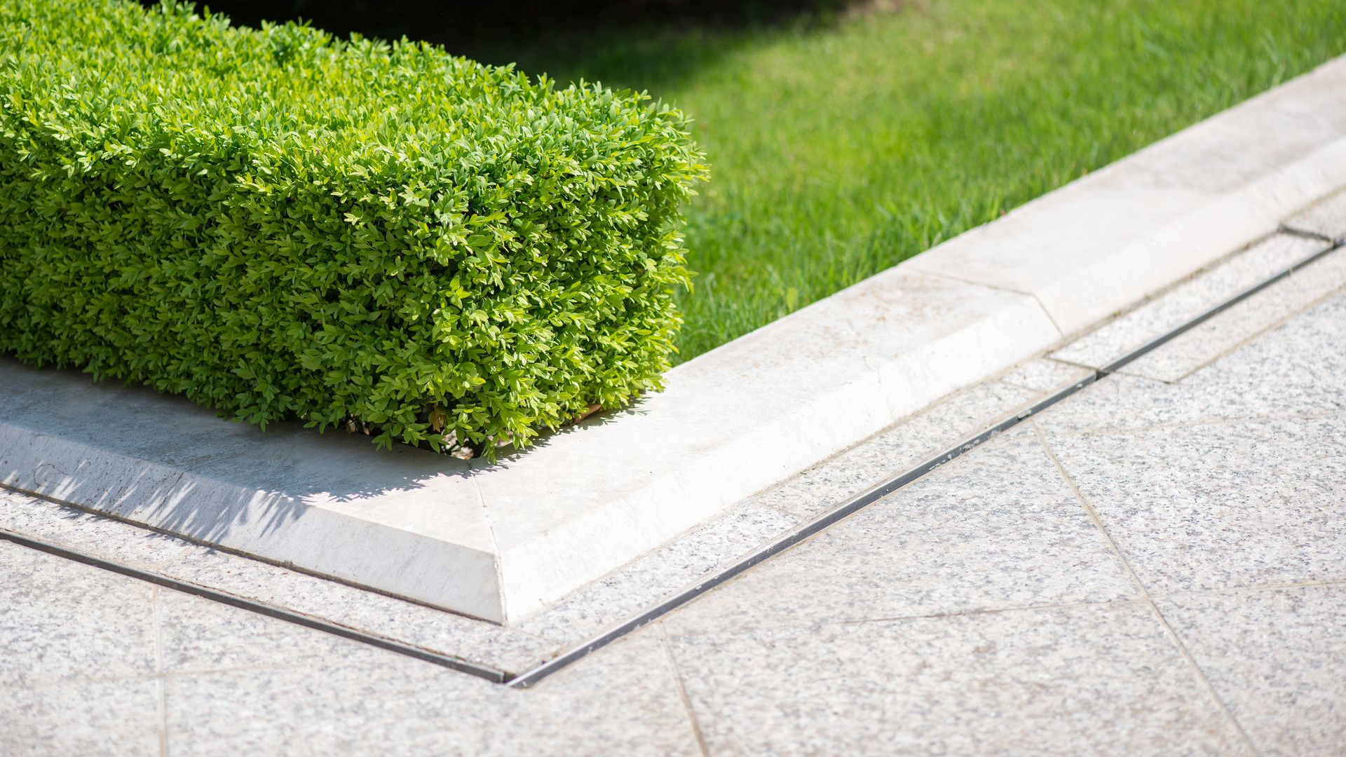 Corner of a neatly trimmed green hedge beside a light gray concrete sidewalk and curb
