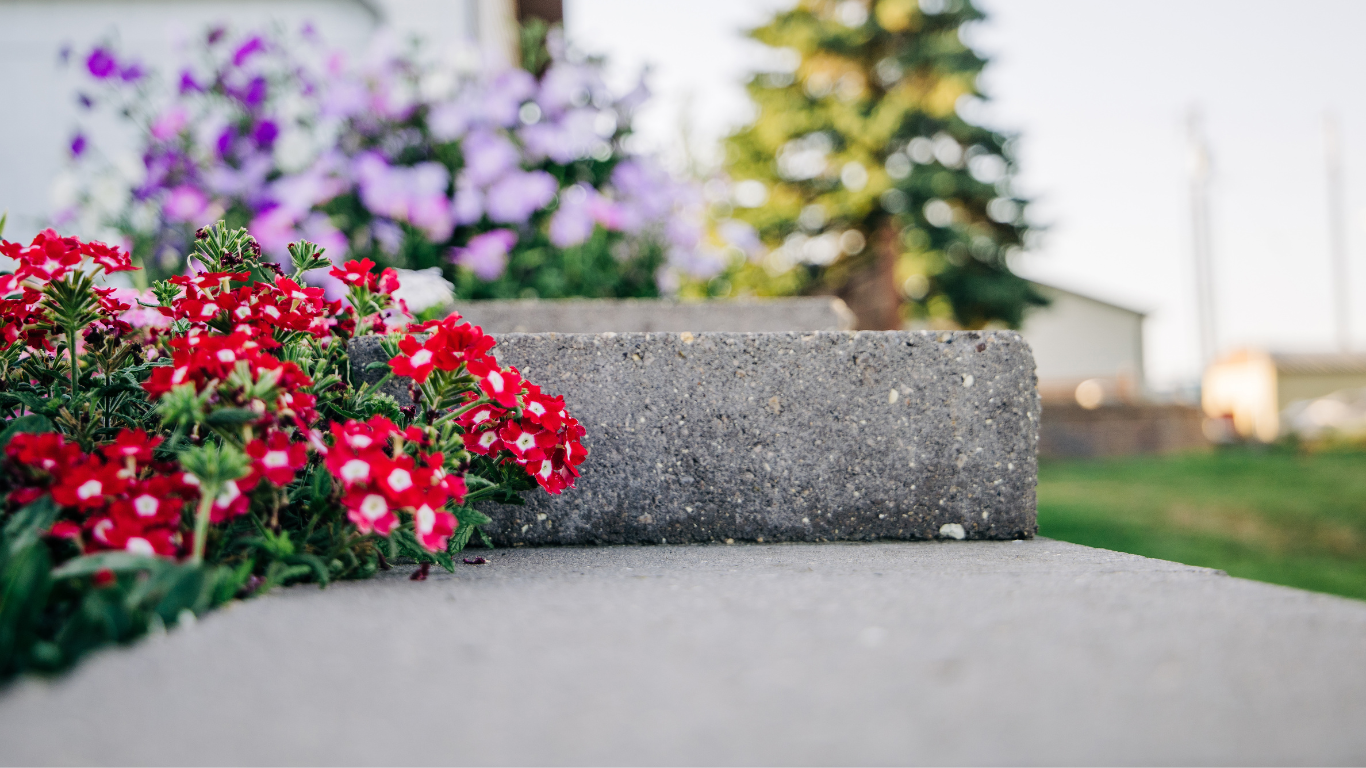 Red and purple flowers blooming beside a gray concrete step along a garden path