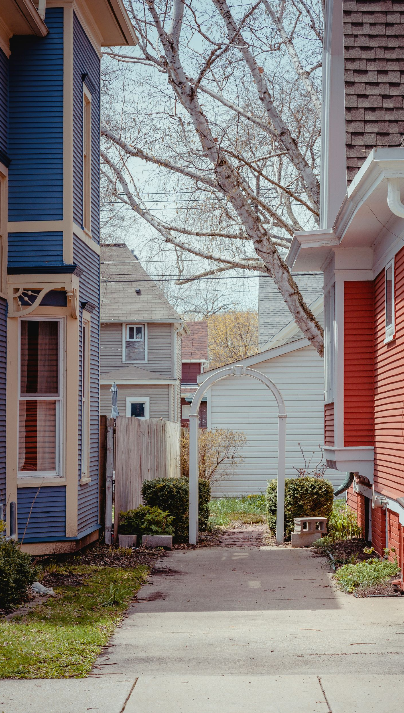 Narrow alleyway between colorful houses; blue, red, and gray facades. Path leads towards a backyard, under a tree.