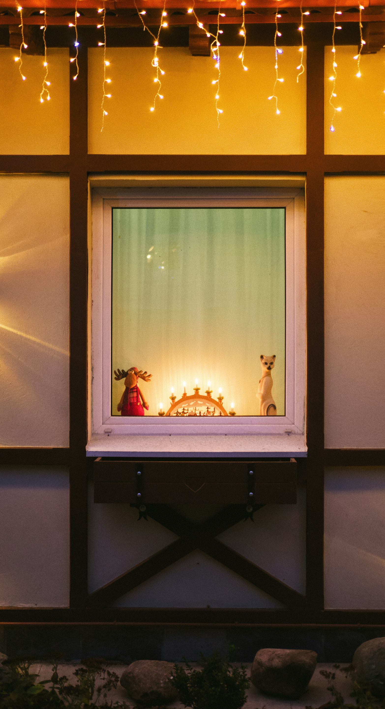 Window display with Christmas decorations and string lights; exterior of a building at night.