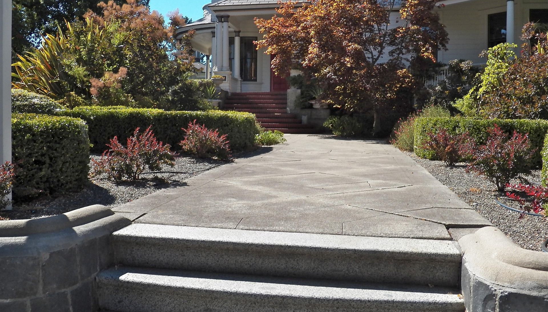Stone steps leading to a house with a path, surrounded by bushes and trees.
