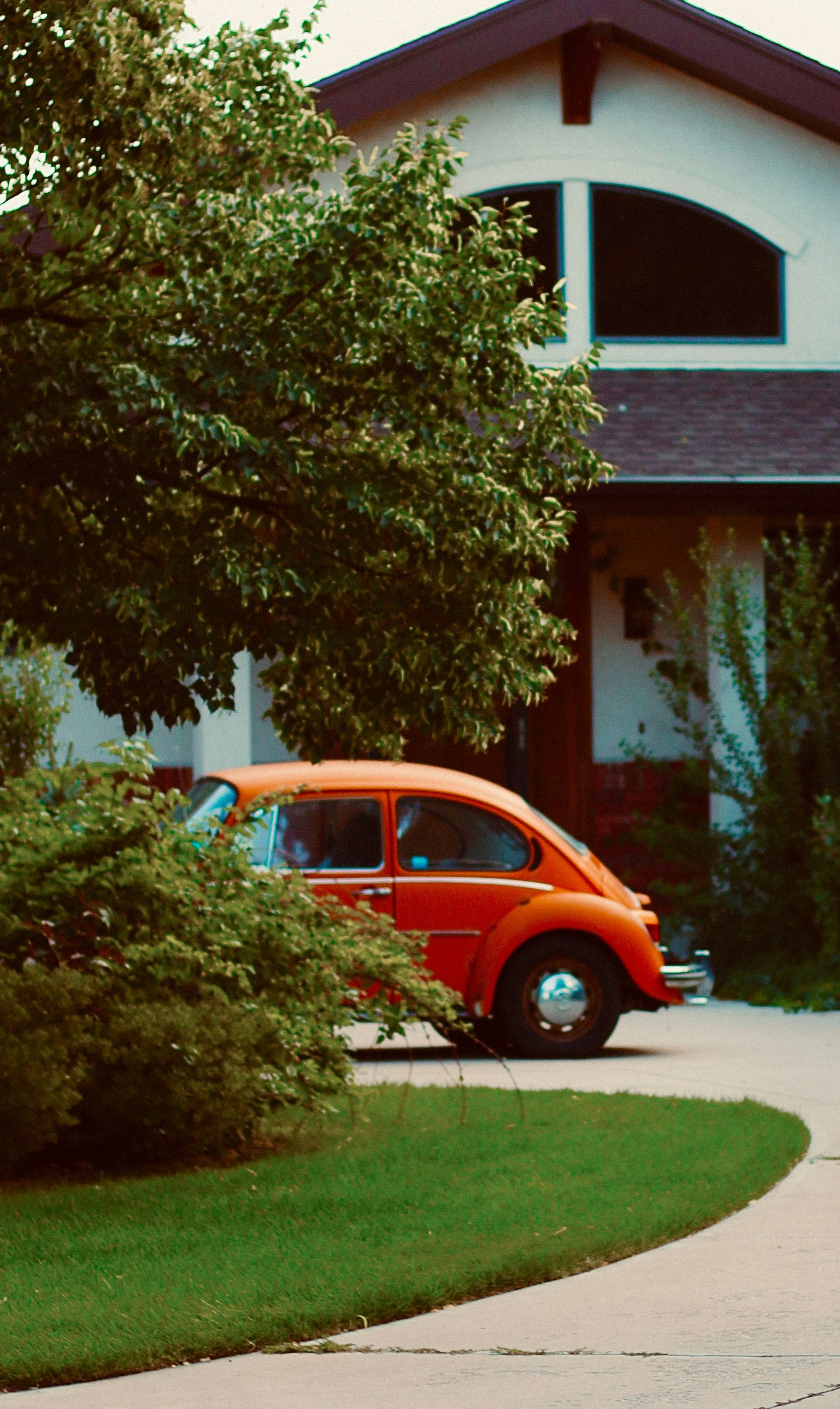 Orange vintage Beetle parked on driveway in front of a house. Green bushes and grass surround the car.