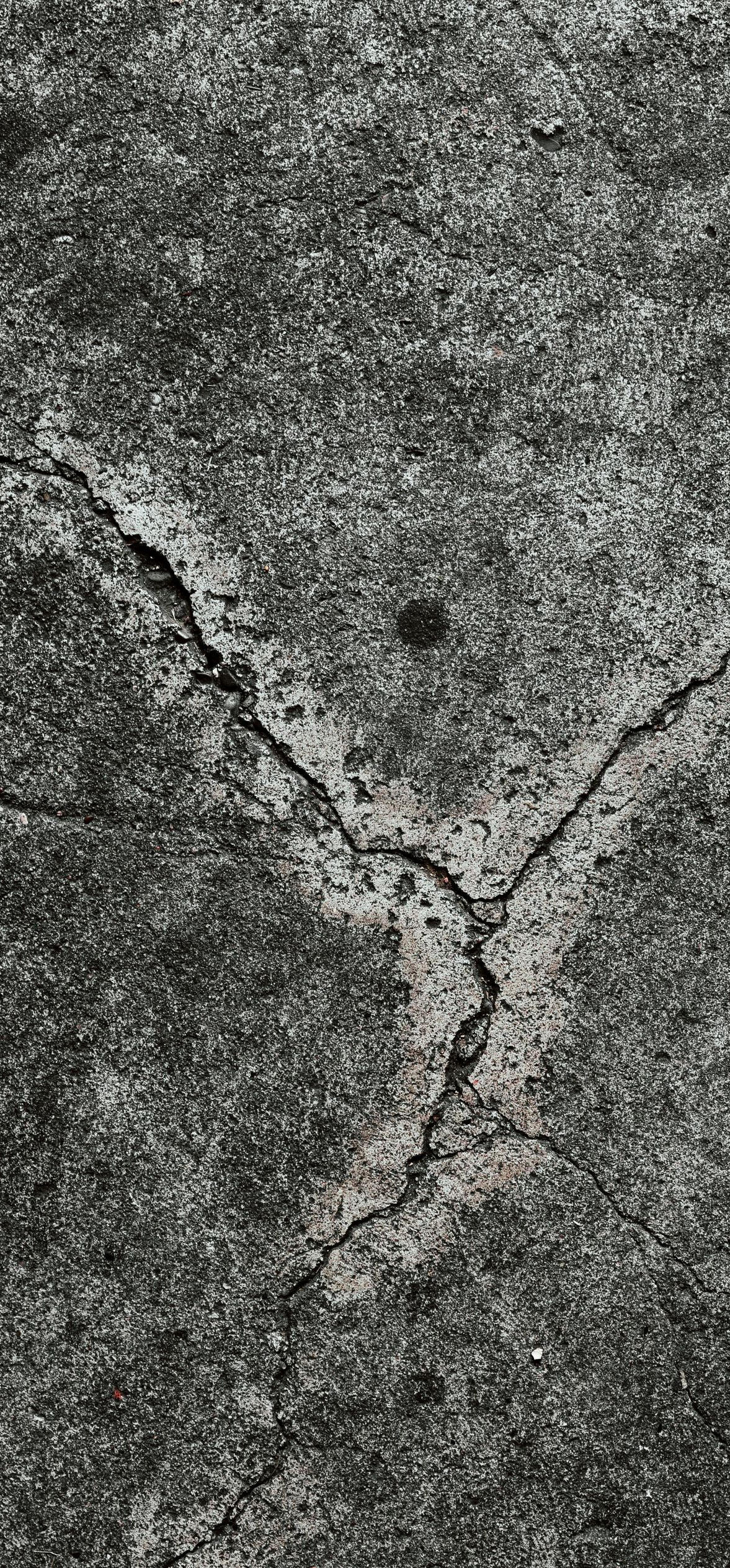 Close-up of a rough gray rock with a dark Y-shaped crack or branch-like pattern