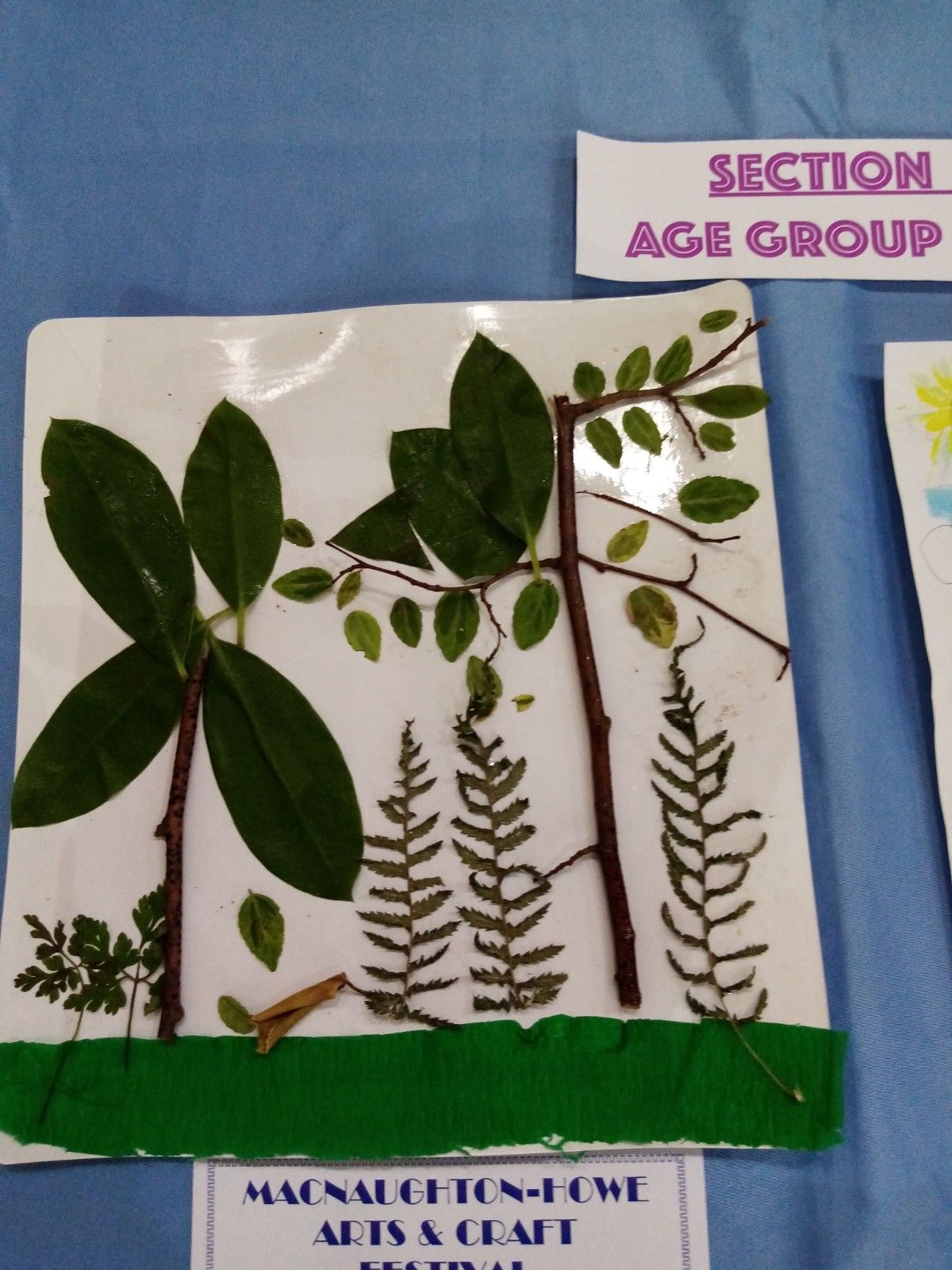 A piece of paper with a label that says section age group