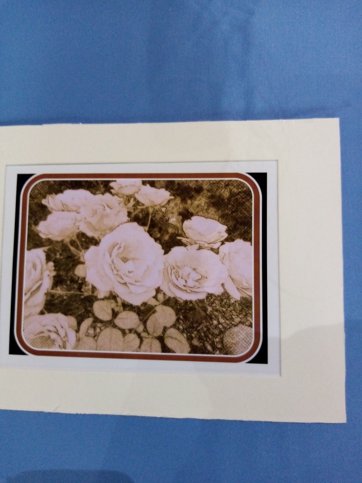 A picture of roses in a frame on a blue cloth