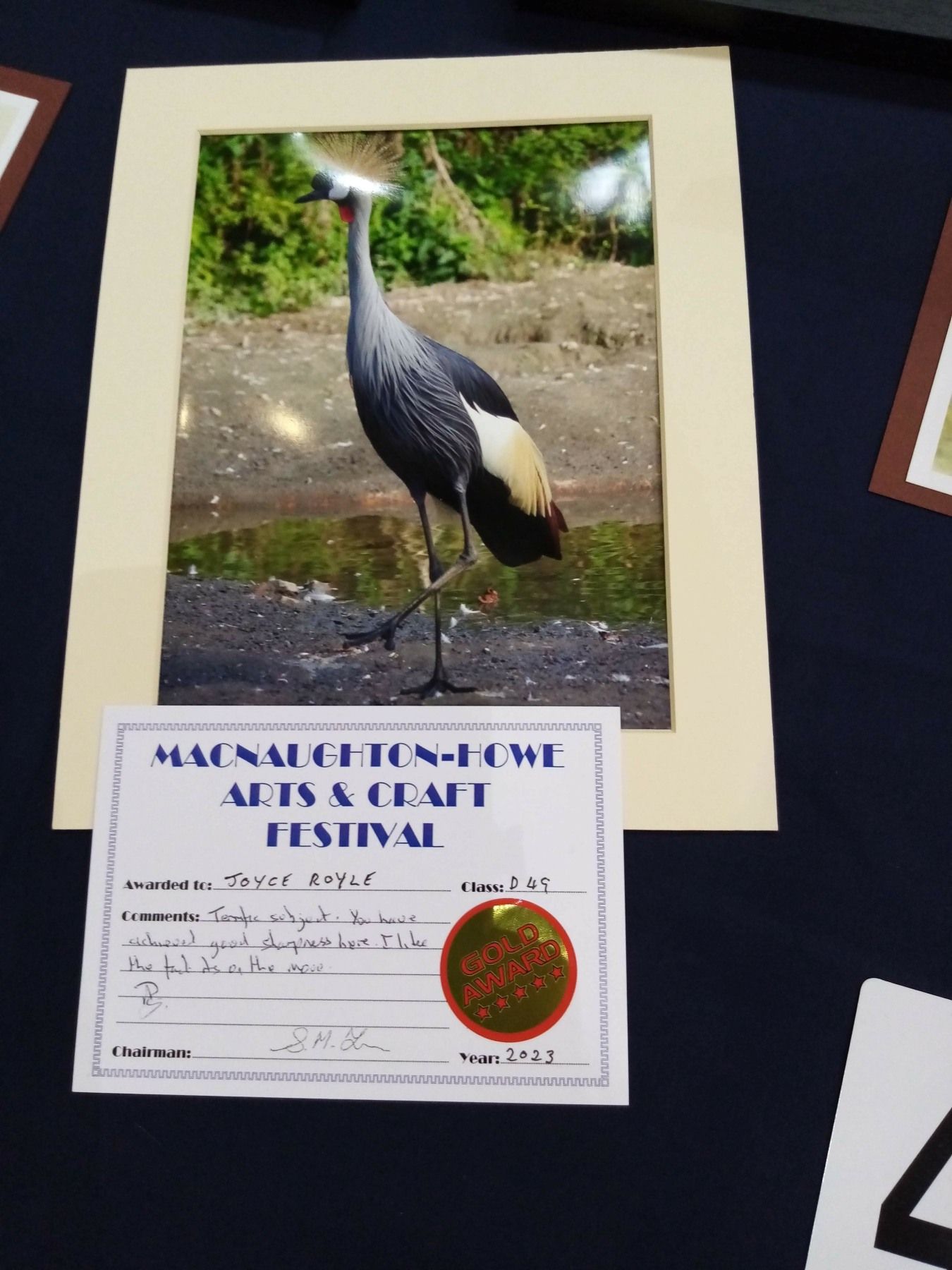 A picture of a bird is displayed next to a certificate that says macnallipton-pwl arts & craft festival