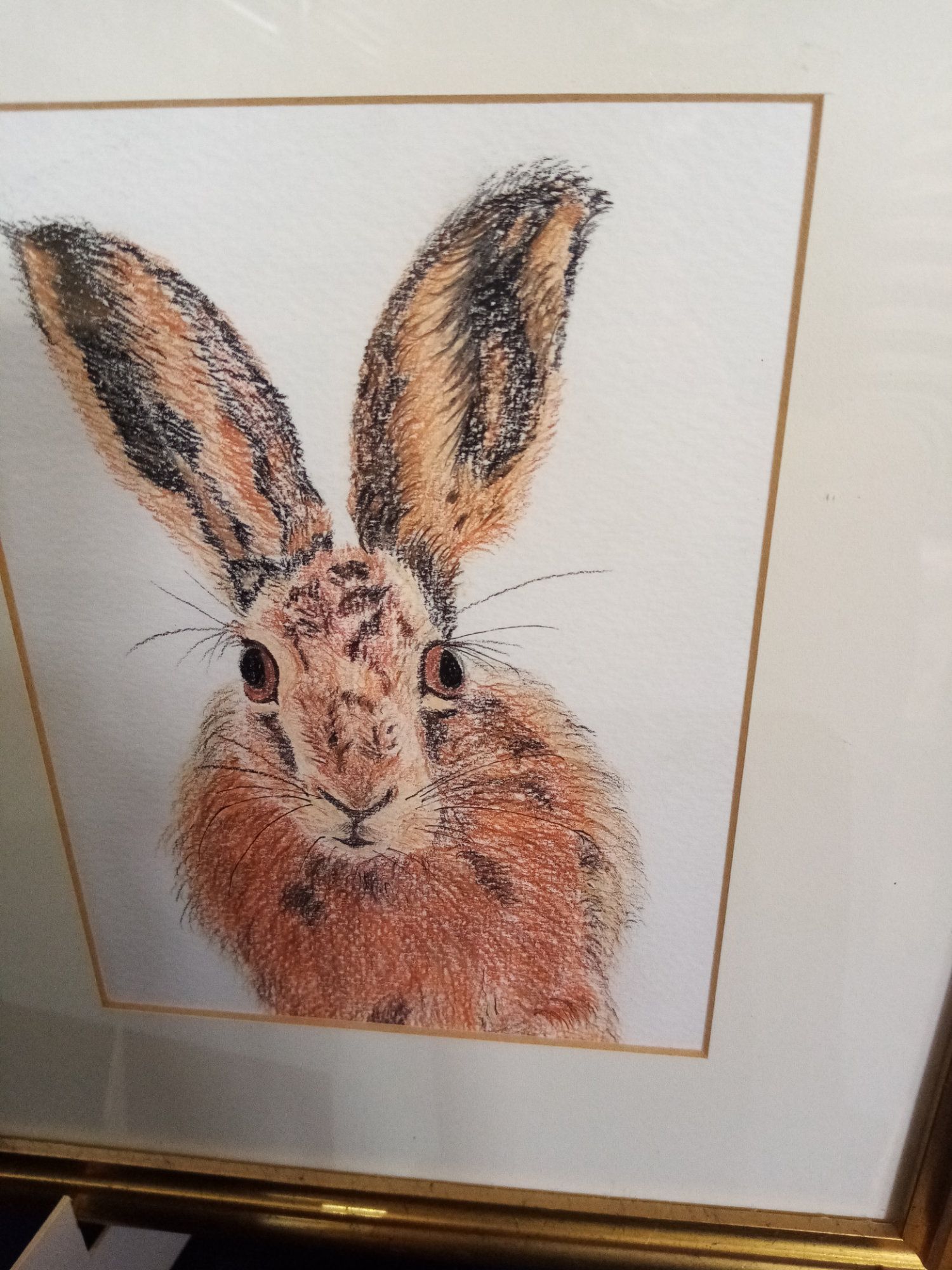 A framed painting of a rabbit with large ears