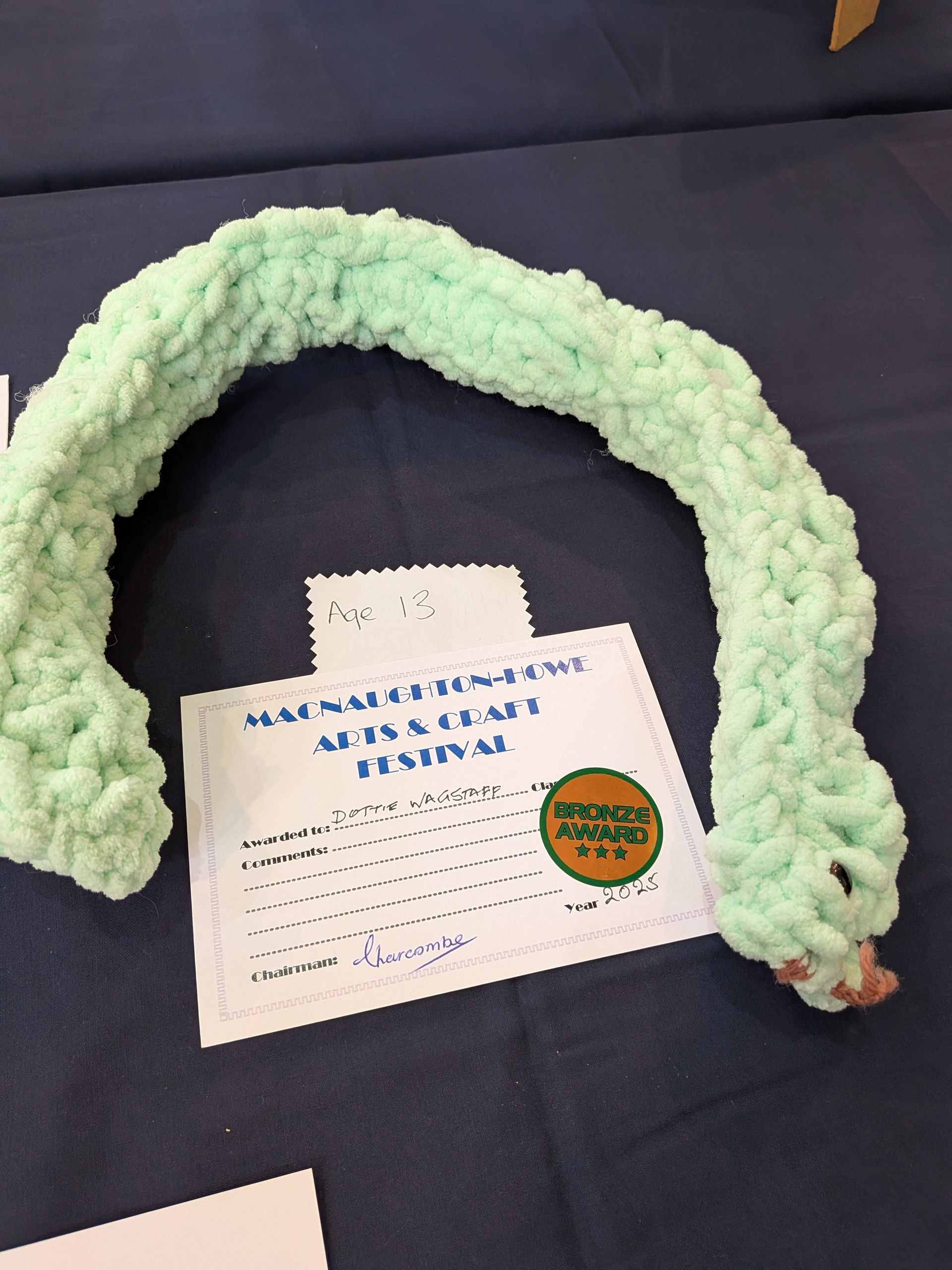 Green, fuzzy crocheted snake on a blue surface, next to a festival certificate.