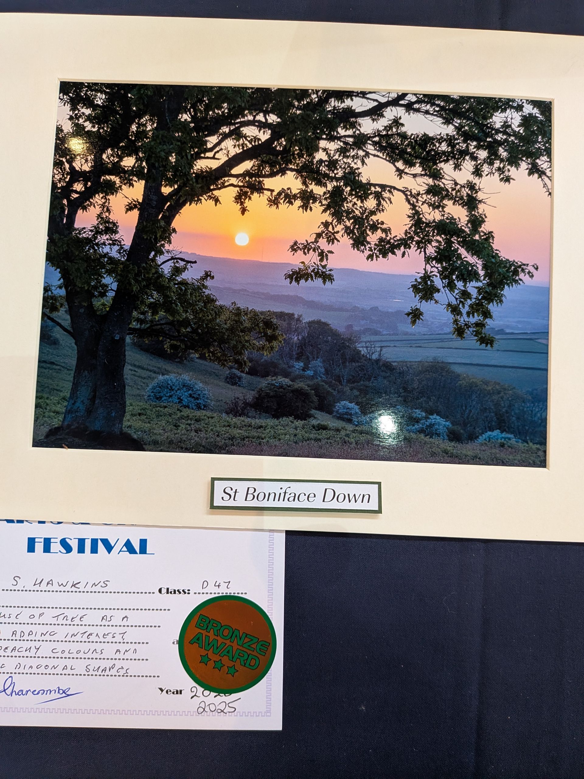 Sunset over a valley framed by a tree. Colors range from orange to purple.  Award sticker present.